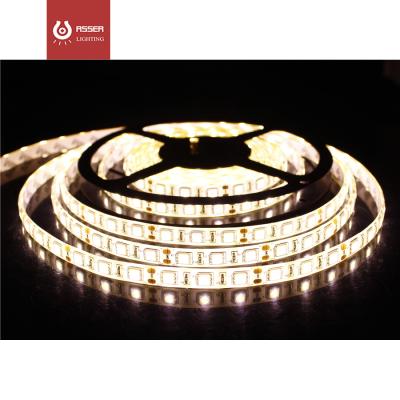 China RTS IP65 LED Strip Light 5050 Waterproof Residential Music Sensor 24V 24V Led Strip Light for sale