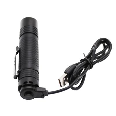 China Factory Direct Sale Camping Outdoor Tail Rechargeable Led Torch Flashlight Electronic Camping Switch for sale