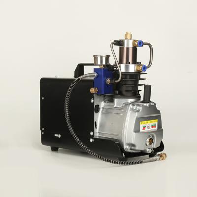 China Lubricated new high quality pcp listrik compressor for sale