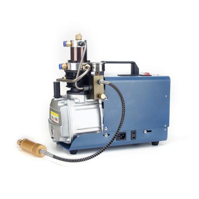 China High pressure lubricated pcp pneumatic air gun air compressor 4500psi 300bar electric pcp for sale