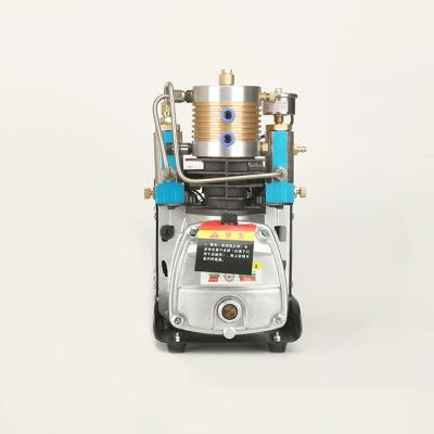 China 300 Bar Compressor 2 Stage Piston Vacuum Pump Air Gun Lubricated Current Zone for sale