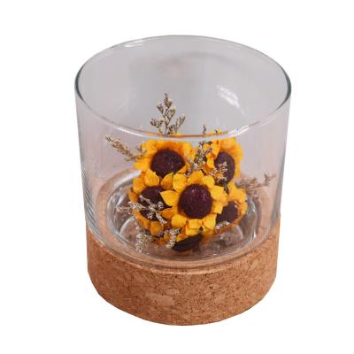 Chine Pot en verre inodore Cork Wood Base Groove de Toxicless 2,5 pouces pour le paysage micro à vendre