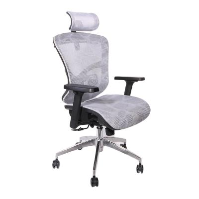 China Frank Tech Ergonomic Office Chair Full Mesh Chair (Height)Adjustable Office Chair Advanced Technology for sale