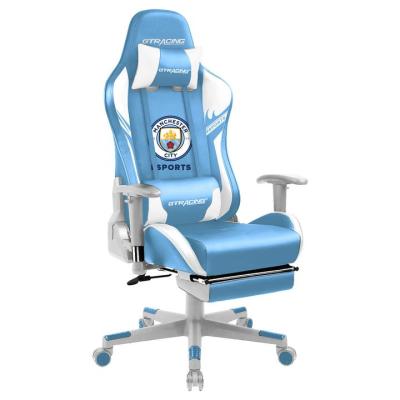 China (Size) Frank Tech Custom Gaming Racing Seat Adjustable Gamer Chair Gaming Chair Racing Chair for sale