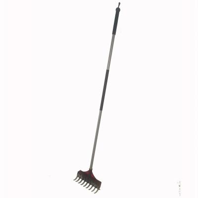 China Garden Rake Stainless Steel Moss Harrow &Leaf Rake 2 IN 1 Garden Tool for sale