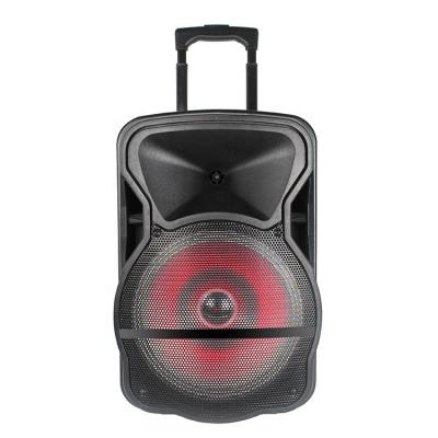 China EZCast Classic 12 Inch Portable Outdoor Party Speaker BT FM USB Port Trolley Speaker With LED Light for sale