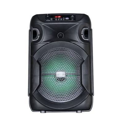 China PORTABLE 8 Inch Trolley Outdoor Wireless BT Party Portable Speaker With Led Light for sale