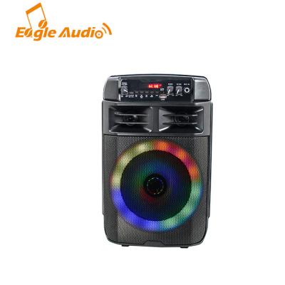 China No Good Quality 8 Inch Rechargeable Portable BT Trolley Party Active Speaker for sale