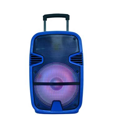 China No Mini Speaker With FM Wireless USB SD To 12 Inch Cart Outdoor Game Time for sale