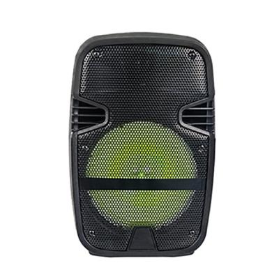 China No Hottest Outdoor Use Classic 8 Inch Portable Speaker With Cool Led Light for sale