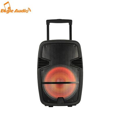 China EZCast 8 12 15 Inch Classic Cart Speaker J Style With Rechargeable Battery USB BT FM Radio for sale