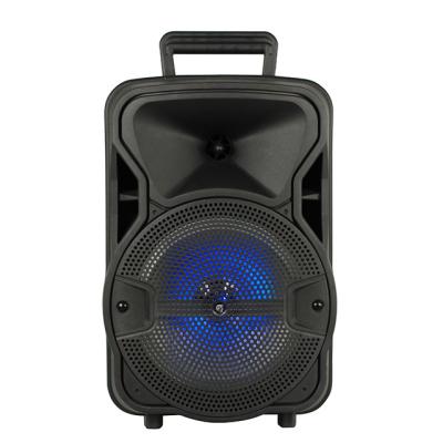 China No Eagle Audio Amazon Hot Sale 8 Inch TWS Plus with LED Light, BT, FM, USB Port Portable Speaker for sale