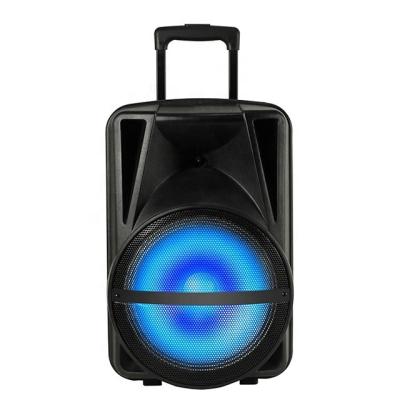 China No 12 Classic Models Inches Rechargeable DJ Cart Speaker With LED Light for sale