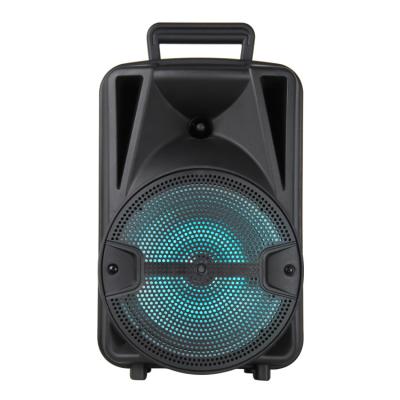 China EZCast Top Selling 12 Inch Karaoke DJ Drum Speaker With USB BT TF FM for sale