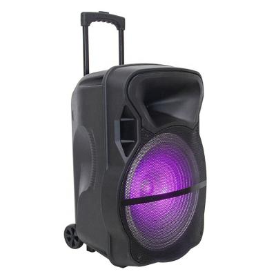 China EZCast 12 Inch Classic Trolley Model Wireless Portable Speaker with BT TF FM USB for sale