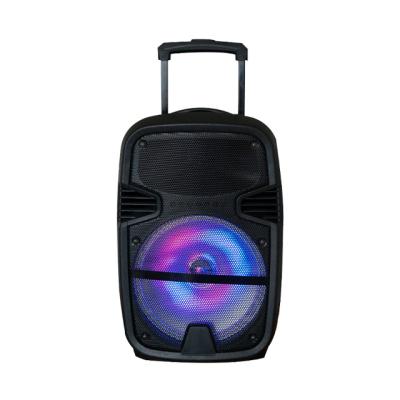 China None Fashions Product Large Portable Speaker 12 Inch Speaker With LED Light for sale