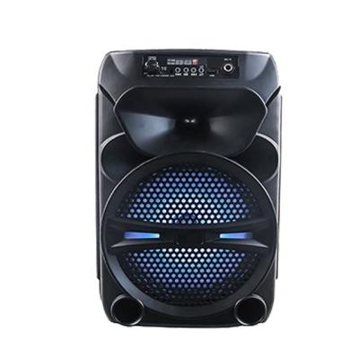 China None BT Newest Version With TWS Function 8 Inch Battery Wireless Speaker for sale