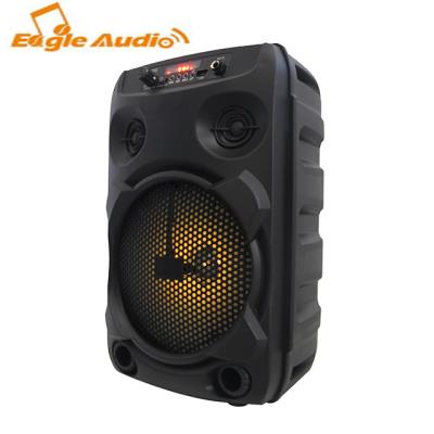 China No Delivery 25days Delivery Canton 8 Inch Private Trolley Speaker With MIC SD USB Port for sale