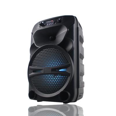 China 2021 EZCast Newcomer Hallmark Selling Online 8 Inch Speaker With USB Port, BT, FM Function for sale