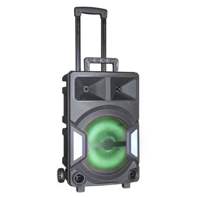 China No OEM Portable Rechargeable Private Model 12 Inch BT Trolley Speaker With Battery for sale