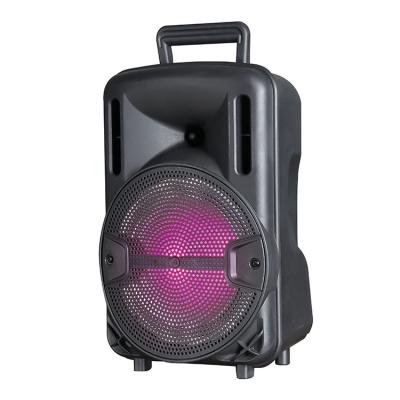 China No 12 Inch High Quality Rechargeable DJ Karaoke Speaker With LED Light for sale