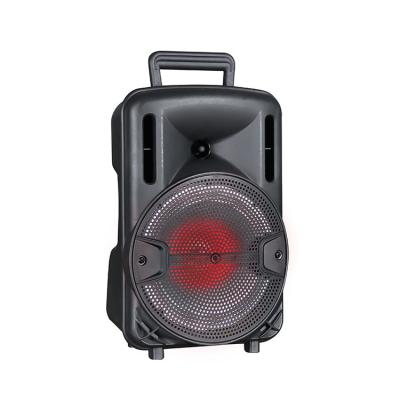 China No Woofer Speaker 12 Inch Trolley Portable Wireless Speaker With LED Light for sale