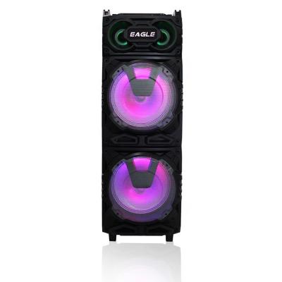 China New Design Professional 12 Inch BT Party Portable Wireless Speaker for sale