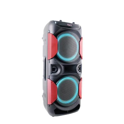 China No Dual Popular Private Model 15 Inch Speaker With Strong Bass for sale