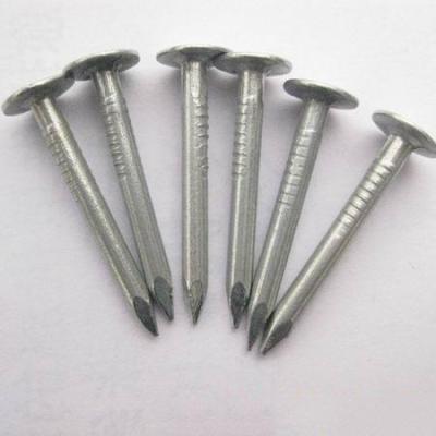 China Wholesale Flat Rag Nails Round Head Roofing Nail Made In China for sale