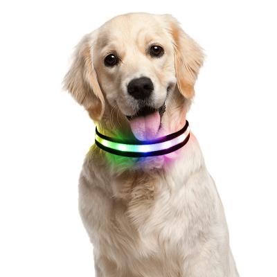 China Lights Perfect Quality Led Flashing Light USB 8 Color Pet Collars And Leashes For Dogs for sale