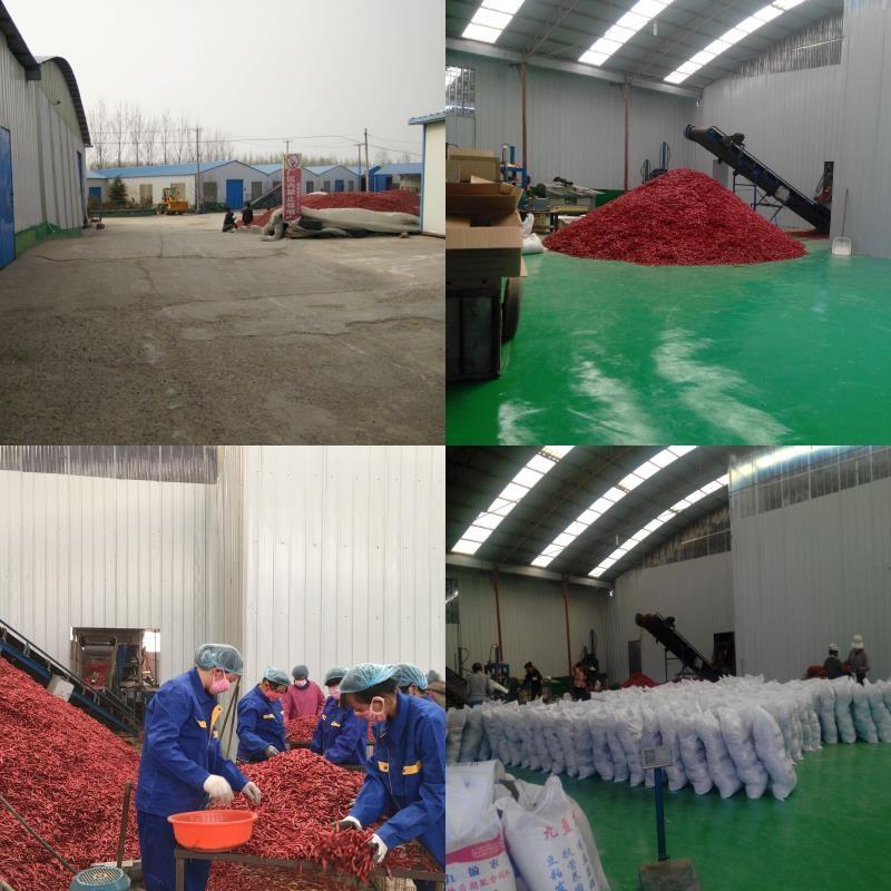 Verifizierter China-Lieferant - Neihuang Xinglong Agricultural Products Co. Ltd