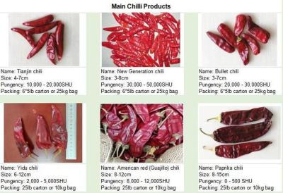 China Mittlerer heißer getrockneter Guajillo Chili Nature Red Chile Peppers zu verkaufen