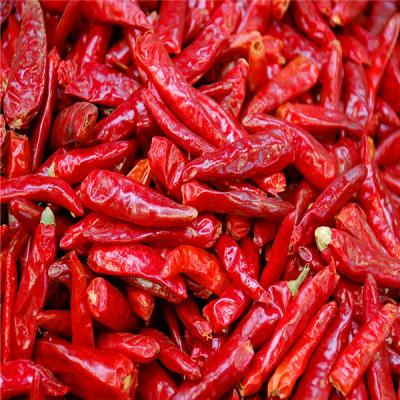 China Dried Birds Eye Chilli Rich In Essential Vitamins And Minerals zu verkaufen