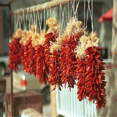 Китай Dried Bullet Shaped Red Chili Hat with Intense Flavor продается