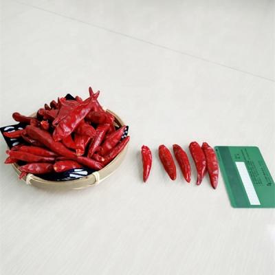 China HACCP Dried Without Stem Chilli Seeds For Cooking Spices Flavoring Food Additives for sale