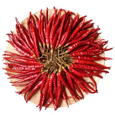 China Calcium Rich Dried Birds Eye Chilli For Bold And Spicy Culinary Creations zu verkaufen