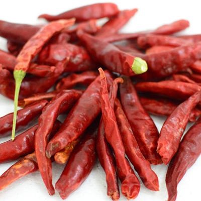 China Rote süße getrocknete Paprika Pfeffer Chilli mit Stamm 8000-12000shu zu verkaufen