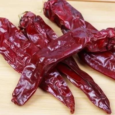 China Unreinheit 1% Max Süßpaprika Pfeffer heiß 8000-12000shu Chili Pfeffer zu verkaufen