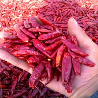 China Hot Pot/ Sichuan Cuisine Dried Red Chilli Peppers 4-7cm With 50 Hot Pungency for sale