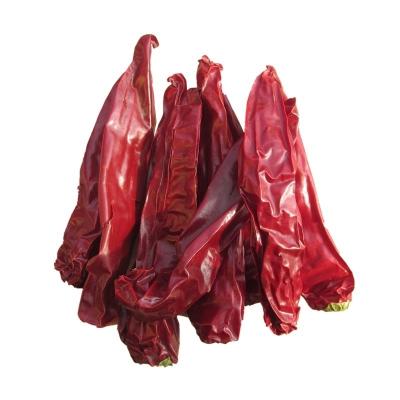 Chine Chilli de qualité supérieure coupé 1,5 cm avec une finition très polie à vendre