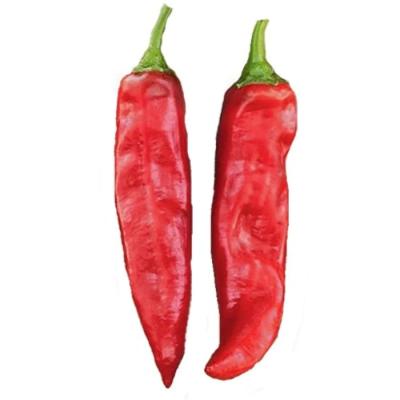 China Roter Chili-Knospen mit hohem Nährstoffgehalt und viel Vitamin A und C 8000-12000shu zu verkaufen