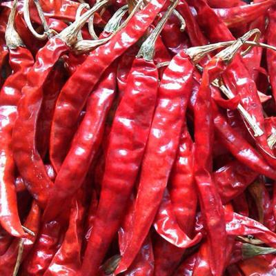 China Nahrungsmittelzusatzstoff getrocknete rote Chilis Paprika Pfeffer 16% Feuchtigkeit Rauchreich und süß zu verkaufen