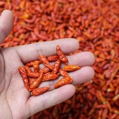 China Verpackung für getrocknete Vögel-Augen-Chilli 1 kg HACCP-Größe zu verkaufen