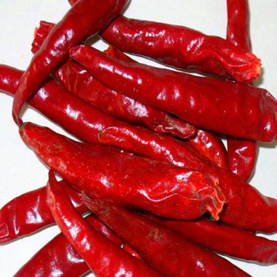 China FDA Spicy Red Delights Trockene Vogel-Augen-Chilli HACCP aus Chilli zu verkaufen