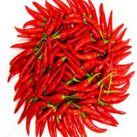 Chine Piment rouge séché sans tiges de 4 à 7 cm 90000 SHU avec une forte saveur de piment piquant à vendre