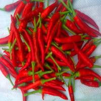 China 4-7cm Dried Red Chilli Peppers Storage Conditions Cool And Dry Place for sale