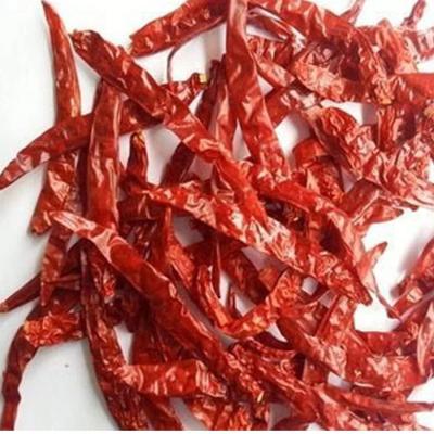 China 10-20 cm zoete chili met kruiden en kruidenpoeder Te koop