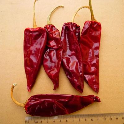 China Get the Perfect Red Hot Dried Red Chile Peppers for Your Cooking Needs Dry And Cool Place Storage for sale