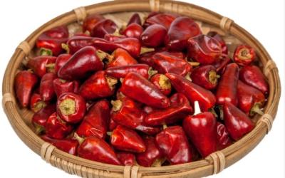 Chine Les piments rouges additifs zéro de balle ont stérilisé les piments de déshydratation de 4CM à vendre