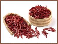 China Xinglong secou o vácuo vermelho Chaotian Chili Spicy das pimentas 4CM à venda